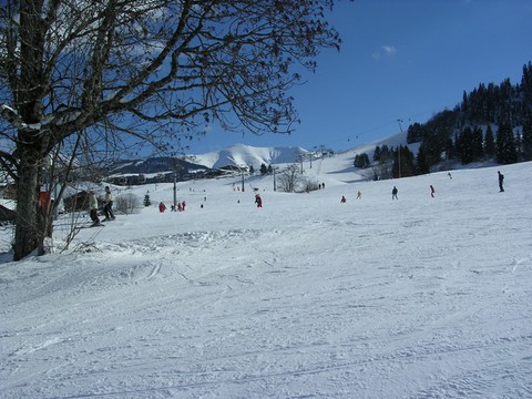 Le ski vu du chalet Monte-pente